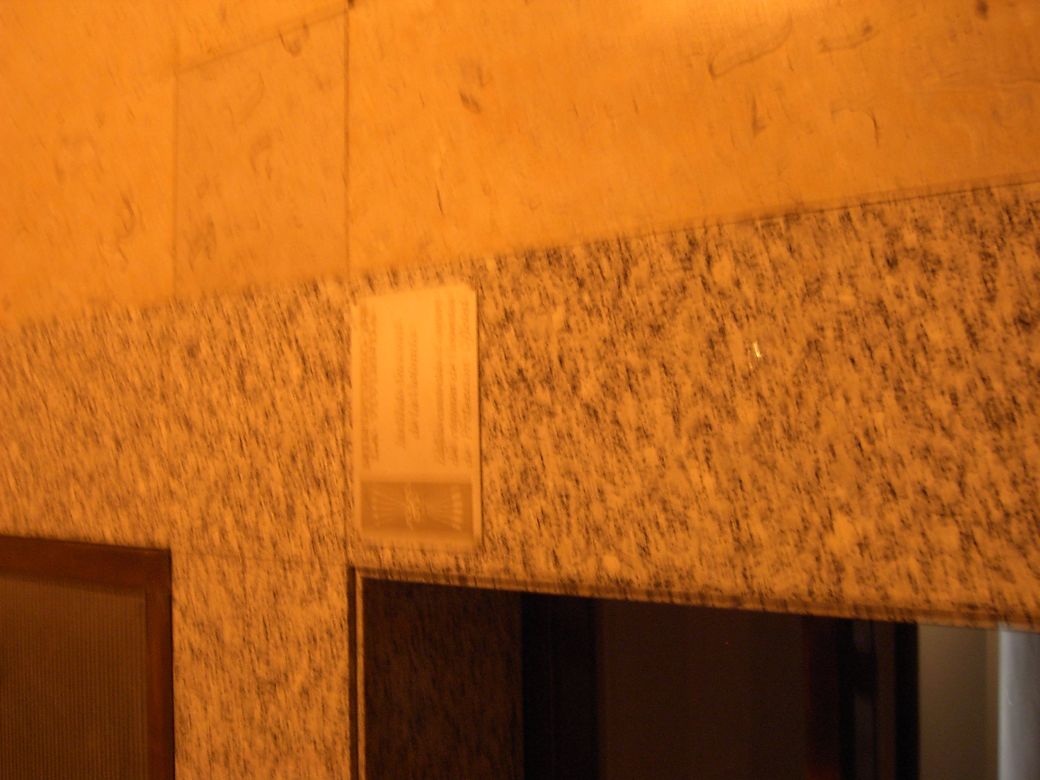 EPSON DSC picture